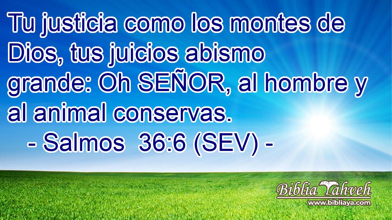 Tu justicia como los montes de Dios, tus juicios abismo grande: Oh SEÑOR, al hombre y al animal conservas.