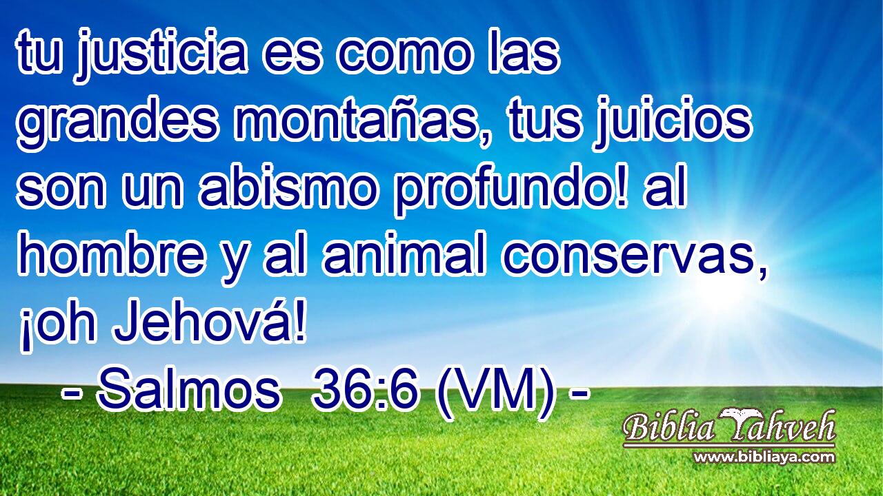  tu justicia es como las grandes montañas, tus juicios son un abismo profundo! al hombre y al animal conservas, ¡oh Jehová! 