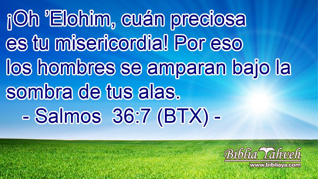 ¡Oh ’Elohim, cuán preciosa es tu misericordia! Por eso los hombres se amparan bajo la sombra de tus alas.
