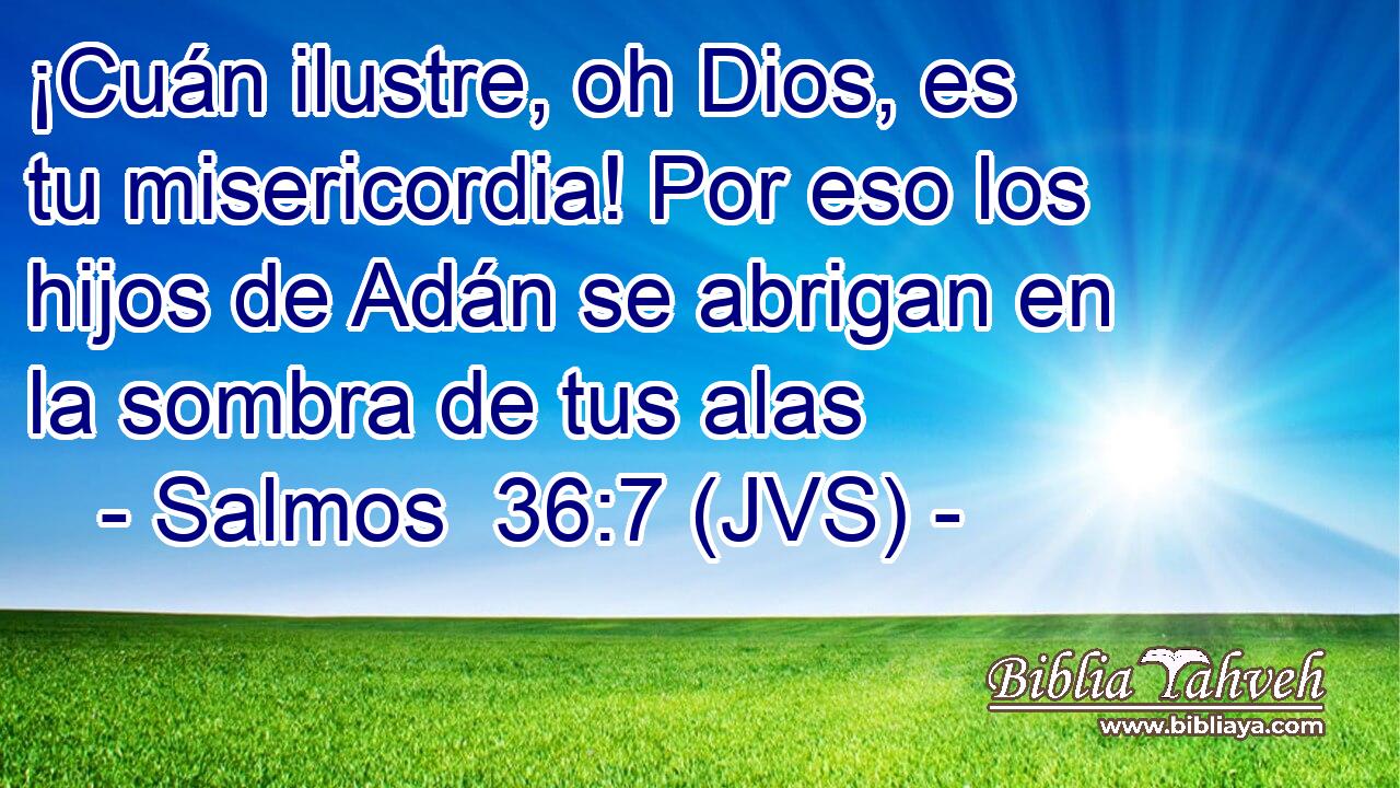 ¡Cuán ilustre, oh Dios, es tu misericordia! Por eso los hijos de Adán se abrigan en la sombra de tus alas