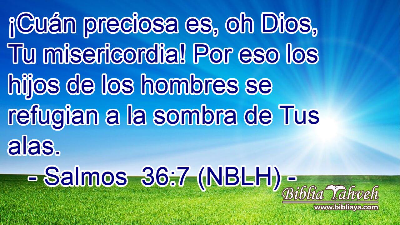  ¡Cuán preciosa es, oh Dios, Tu misericordia! Por eso los hijos de los hombres se refugian a la sombra de Tus alas. 