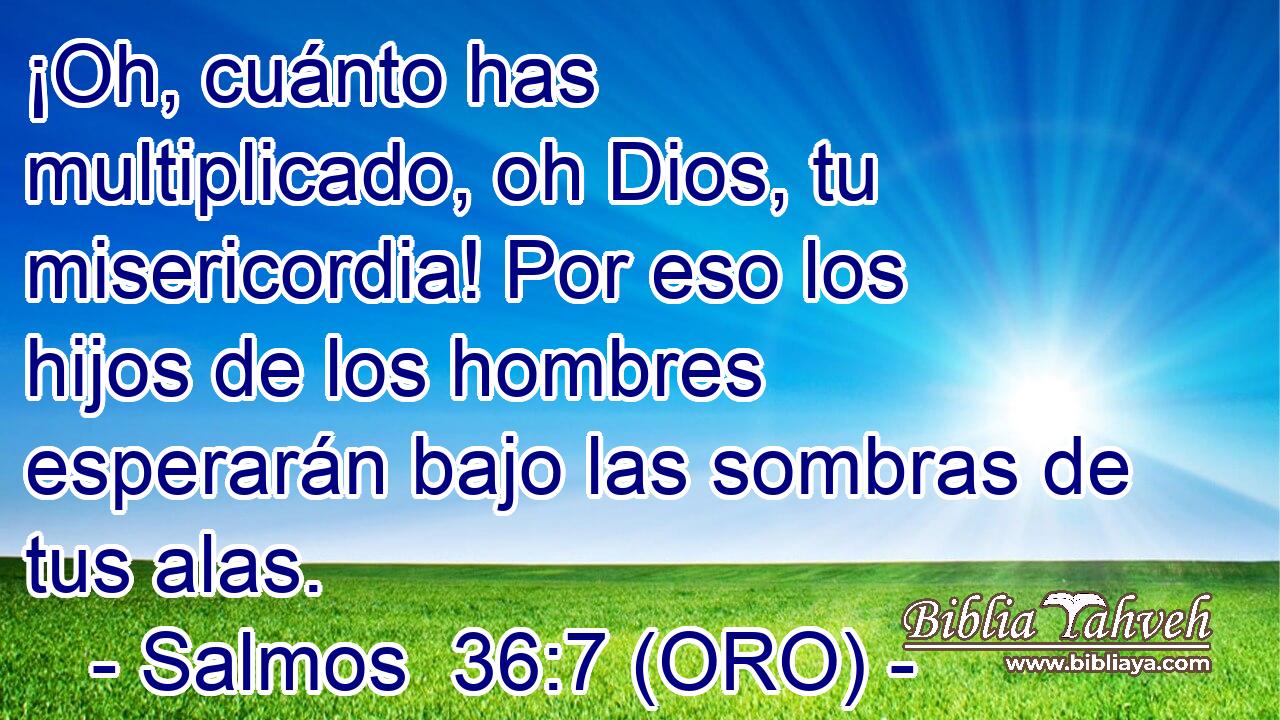  ¡Oh, cuánto has multiplicado, oh Dios, tu misericordia! Por eso los hijos de los hombres esperarán bajo las sombras de tus alas. 