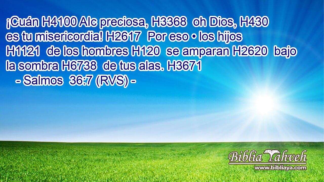 ¡Cuán H4100 AIc preciosa, H3368  oh Dios, H430  es tu misericordia! H2617  Por eso • los hijos H1121  de los hombres H120  se amparan H2620  bajo la sombra H6738  de tus alas. H3671  