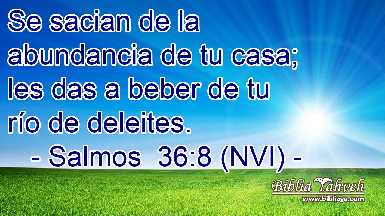  Se sacian de la abundancia de tu casa; les das a beber de tu río de deleites. 