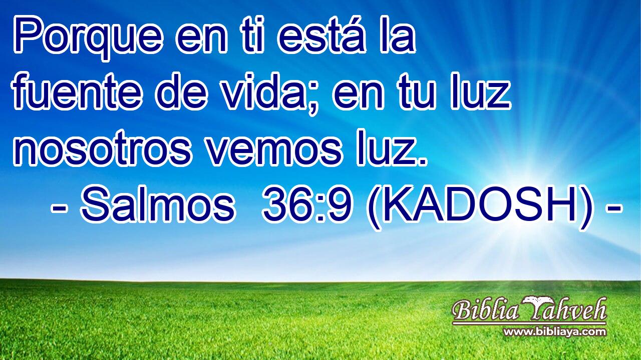  Porque en ti está la fuente de vida; en tu luz nosotros vemos luz. 