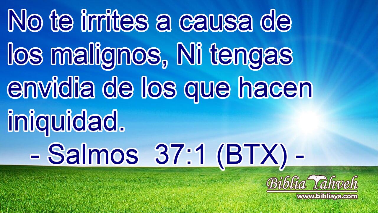 No te irrites a causa de los malignos, Ni tengas envidia de los que hacen iniquidad.