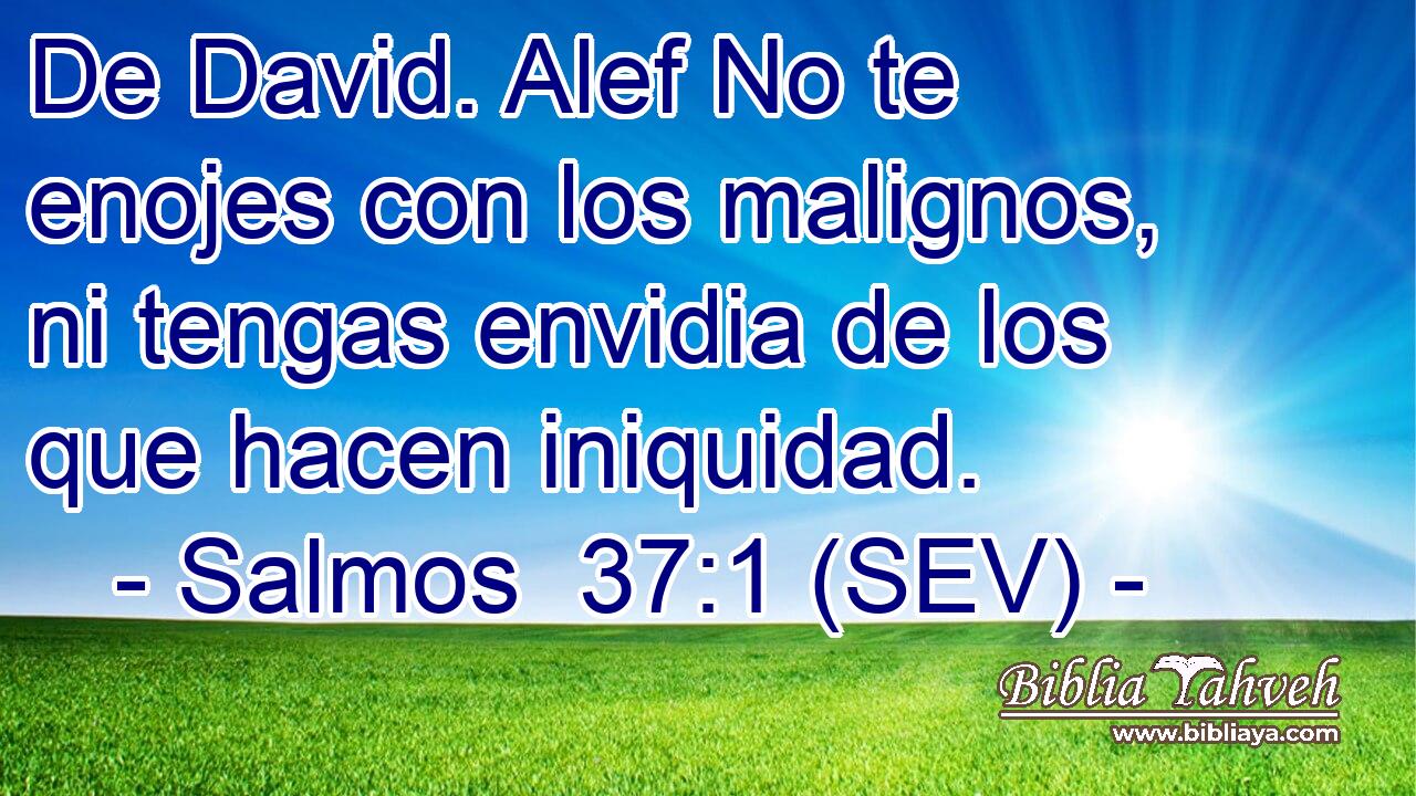 De David. Alef No te enojes con los malignos, ni tengas envidia de los que hacen iniquidad.