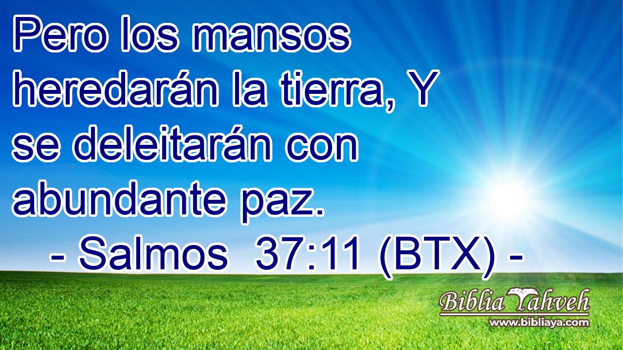 Pero los mansos heredarán la tierra, Y se deleitarán con abundante paz.