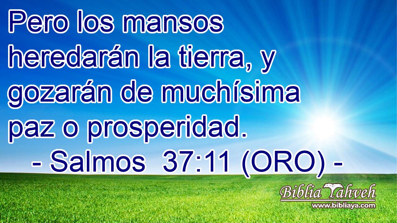  Pero los mansos heredarán la tierra, y gozarán de muchísima paz o prosperidad. 