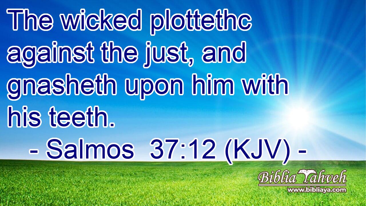 The wicked plottethc against the just, and gnasheth upon him with his teeth.