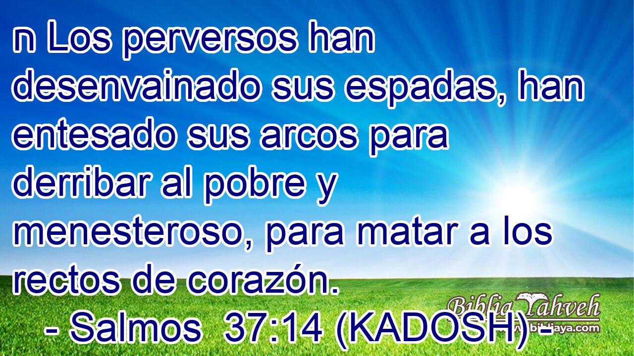  ח Los perversos han desenvainado sus espadas, han entesado sus arcos para derribar al pobre y menesteroso, para matar a los rectos de corazón. 