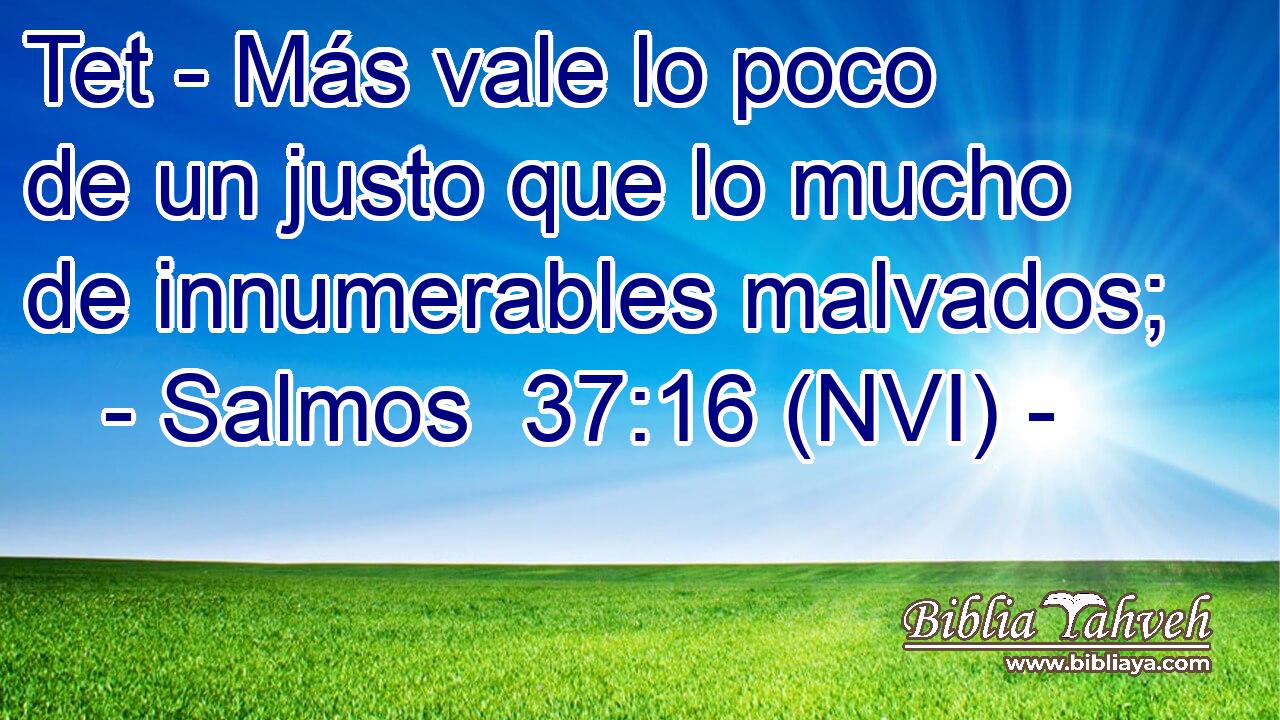  Tet - Más vale lo poco de un justo que lo mucho de innumerables malvados; 