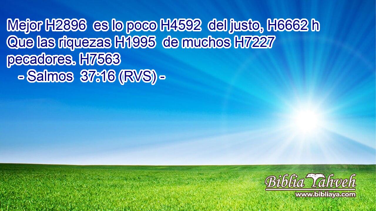 Mejor H2896  es lo poco H4592  del justo, H6662 h Que las riquezas H1995  de muchos H7227  pecadores. H7563  
