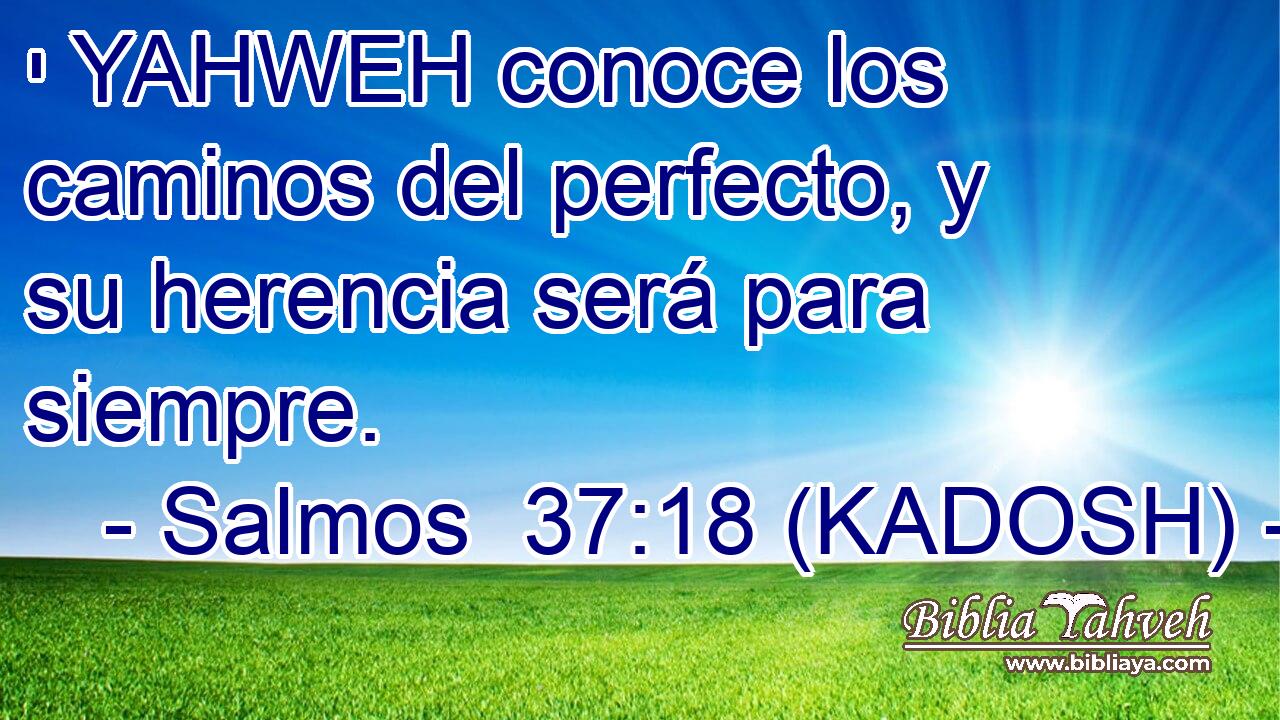  י YAHWEH conoce los caminos del perfecto, y su herencia será para siempre. 