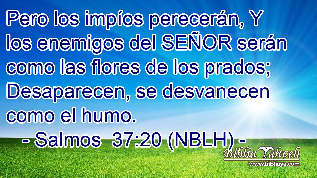  Pero los impíos perecerán, Y los enemigos del SEÑOR serán como las flores de los prados; Desaparecen, se desvanecen como el humo. 
