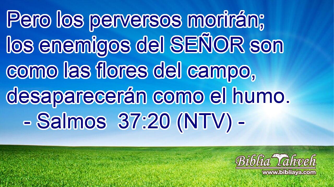 Pero los perversos morirán; los enemigos del SEÑOR son como las flores del campo, desaparecerán como el humo.