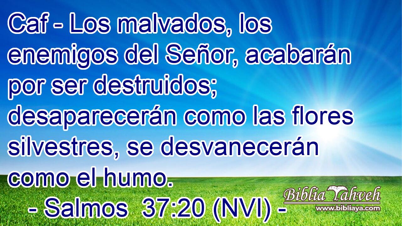  Caf - Los malvados, los enemigos del Señor, acabarán por ser destruidos; desaparecerán como las flores silvestres, se desvanecerán como el humo. 