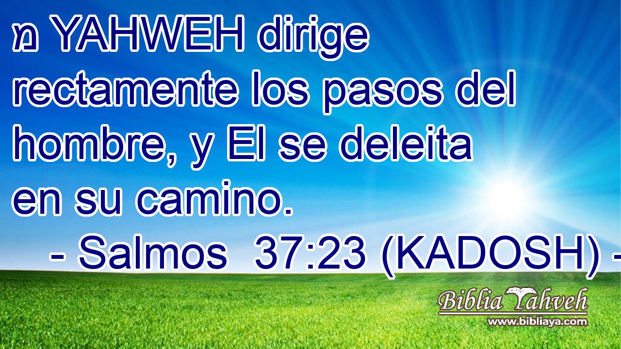  מ YAHWEH dirige rectamente los pasos del hombre, y El se deleita en su camino. 