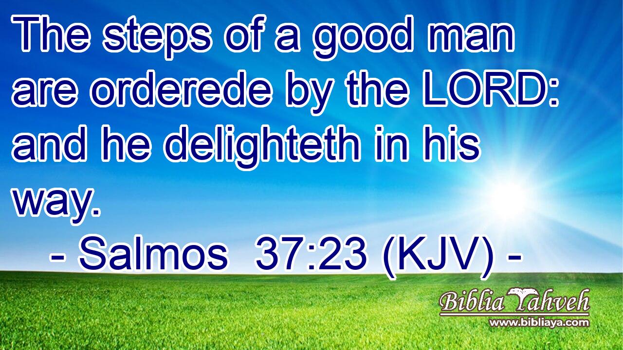 The steps of a good man are orderede by the LORD: and he delighteth in his way.