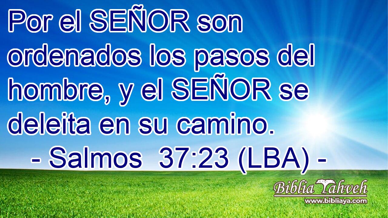Por el SEÑOR son ordenados los pasos del hombre, y el SEÑOR se deleita en su camino.