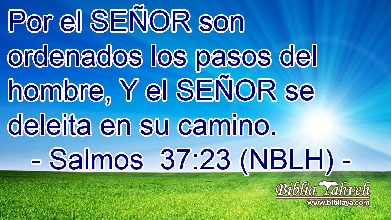  Por el SEÑOR son ordenados los pasos del hombre, Y el SEÑOR se deleita en su camino. 