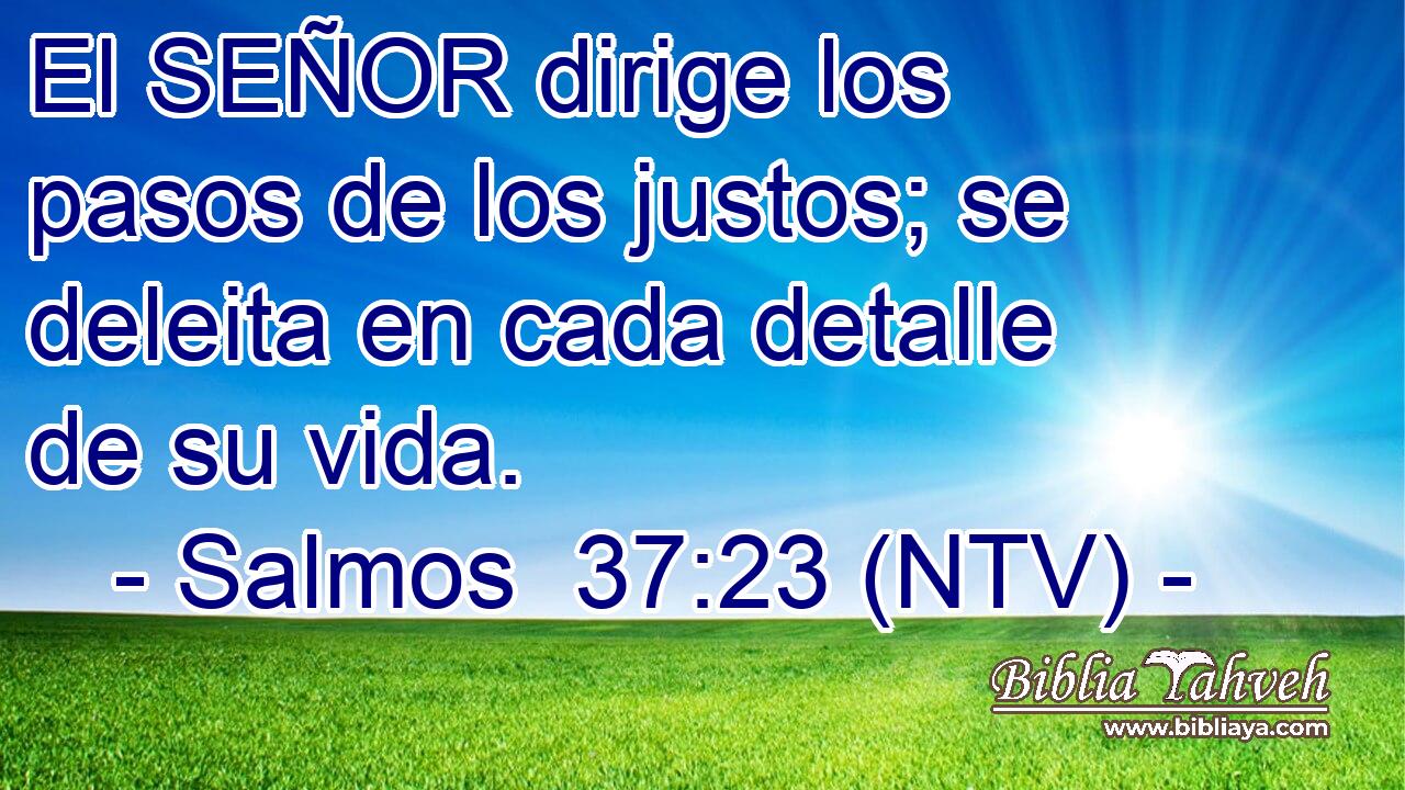 El SEÑOR dirige los pasos de los justos; se deleita en cada detalle de su vida.
