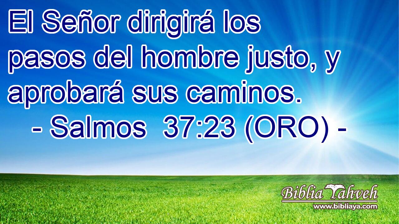  El Señor dirigirá los pasos del hombre justo, y aprobará sus caminos. 