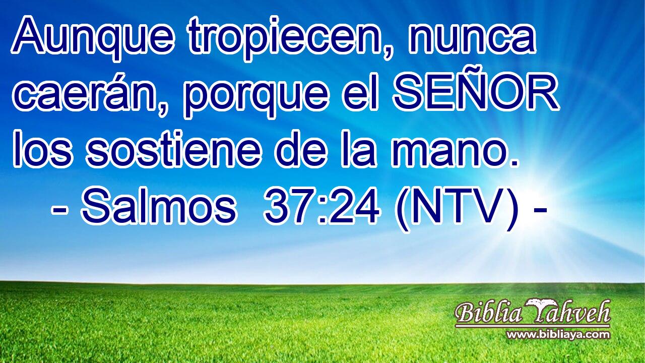 Aunque tropiecen, nunca caerán, porque el SEÑOR los sostiene de la mano.
