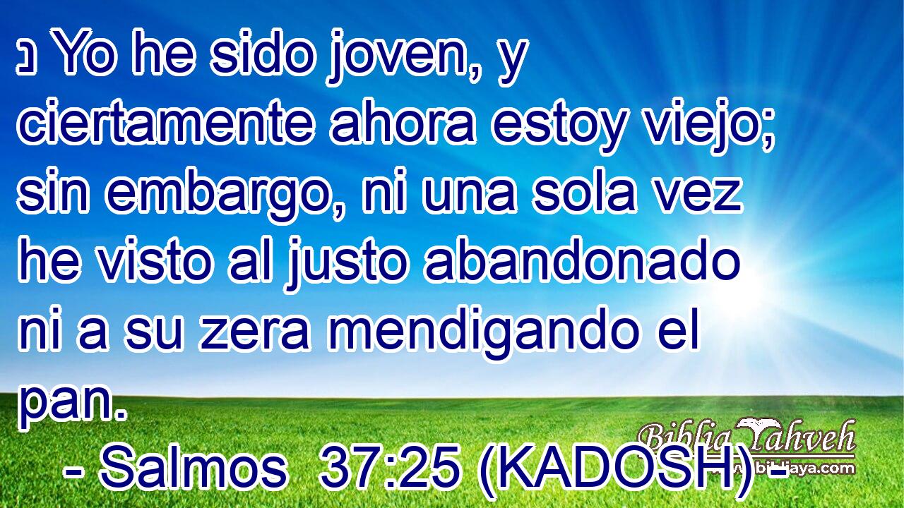  נ Yo he sido joven, y ciertamente ahora estoy viejo; sin embargo, ni una sola vez he visto al justo abandonado ni a su zera mendigando el pan. 