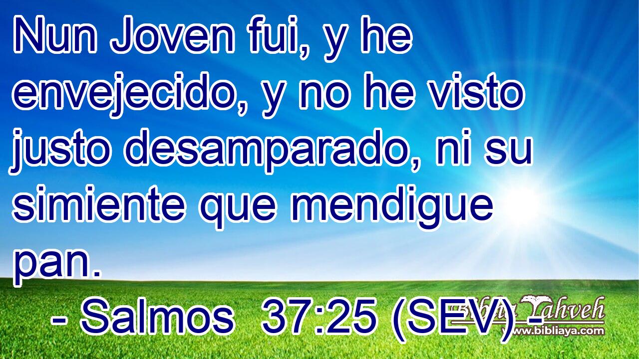 Nun Joven fui, y he envejecido, y no he visto justo desamparado, ni su simiente que mendigue pan.