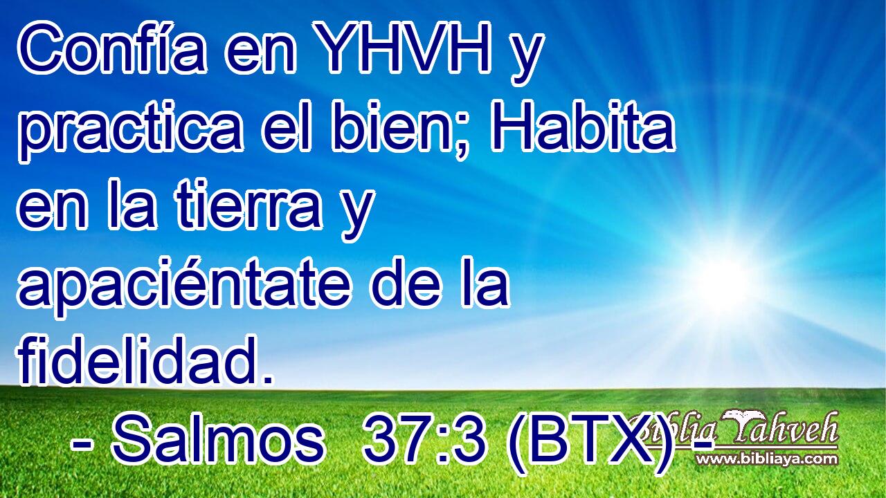 Confía en YHVH y practica el bien; Habita en la tierra y apaciéntate de la fidelidad.