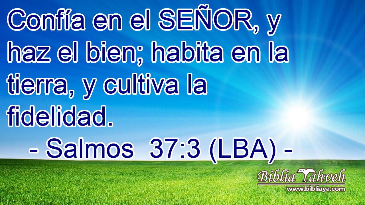 Confía en el SEÑOR, y haz el bien; habita en la tierra, y cultiva la fidelidad.