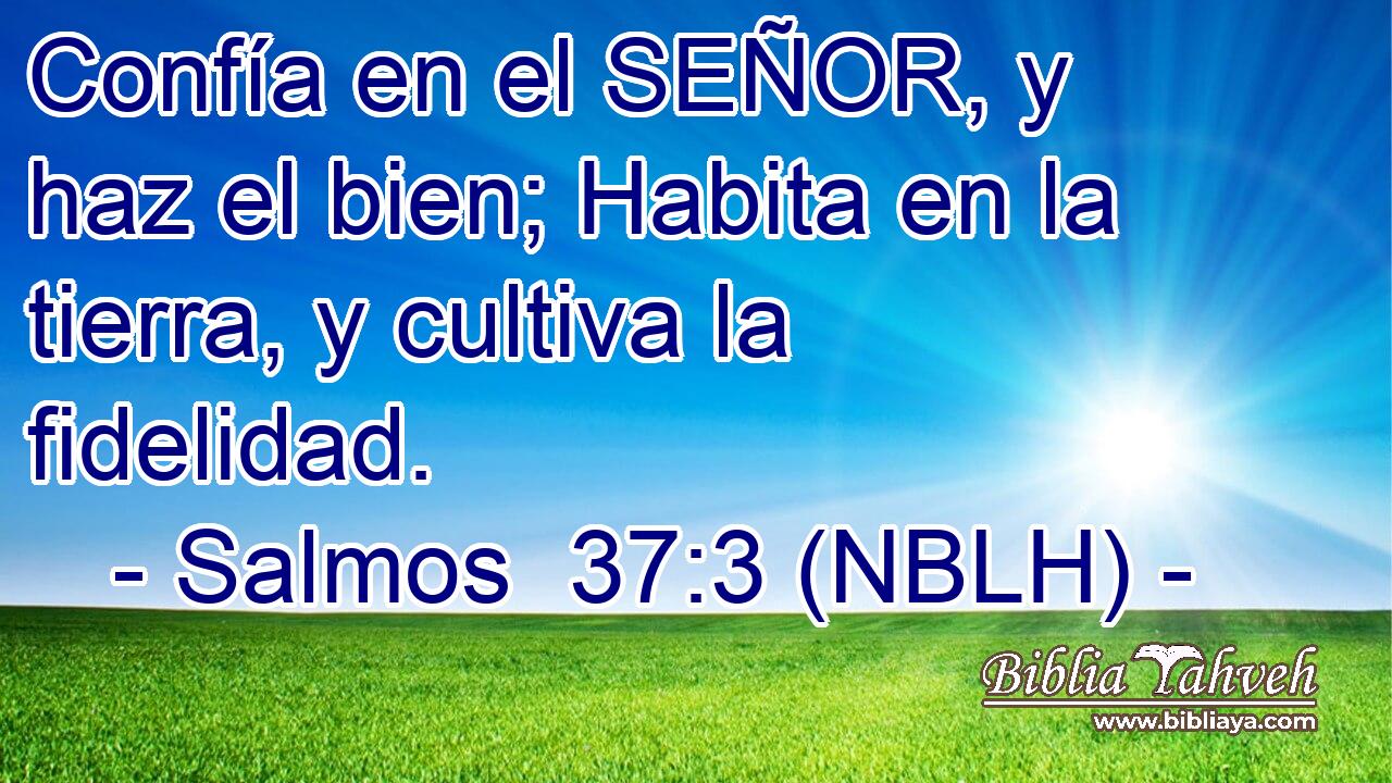  Confía en el SEÑOR, y haz el bien; Habita en la tierra, y cultiva la fidelidad. 