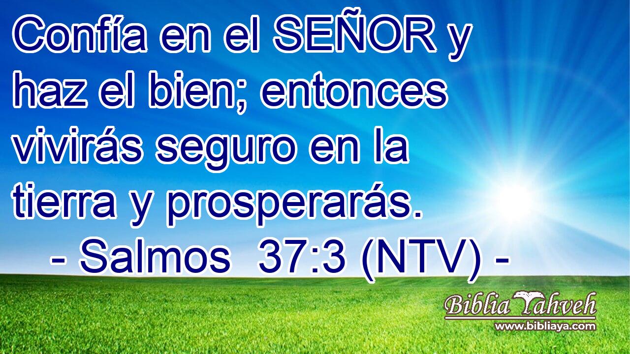 Confía en el SEÑOR y haz el bien; entonces vivirás seguro en la tierra y prosperarás.