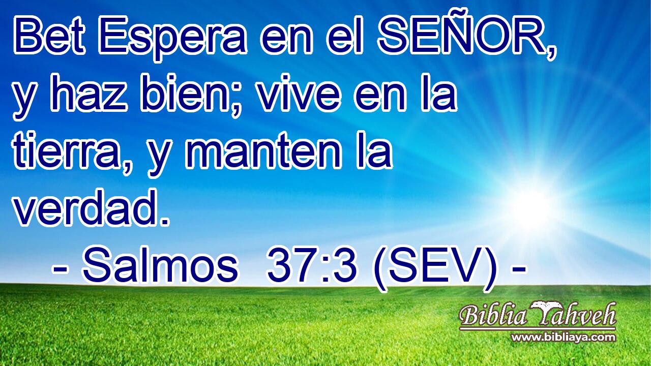 Bet Espera en el SEÑOR, y haz bien; vive en la tierra, y manten la verdad.