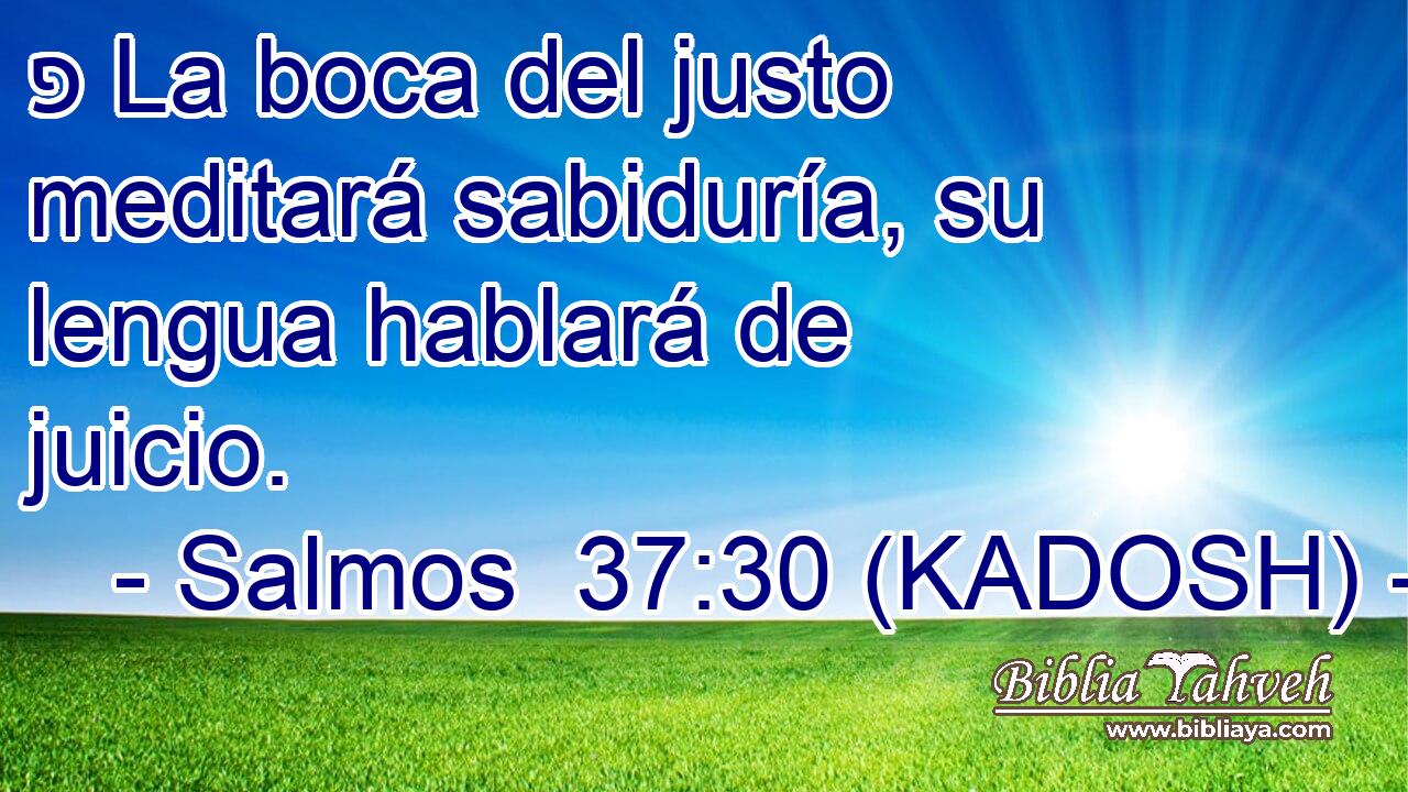  פ La boca del justo meditará sabiduría, su lengua hablará de juicio. 