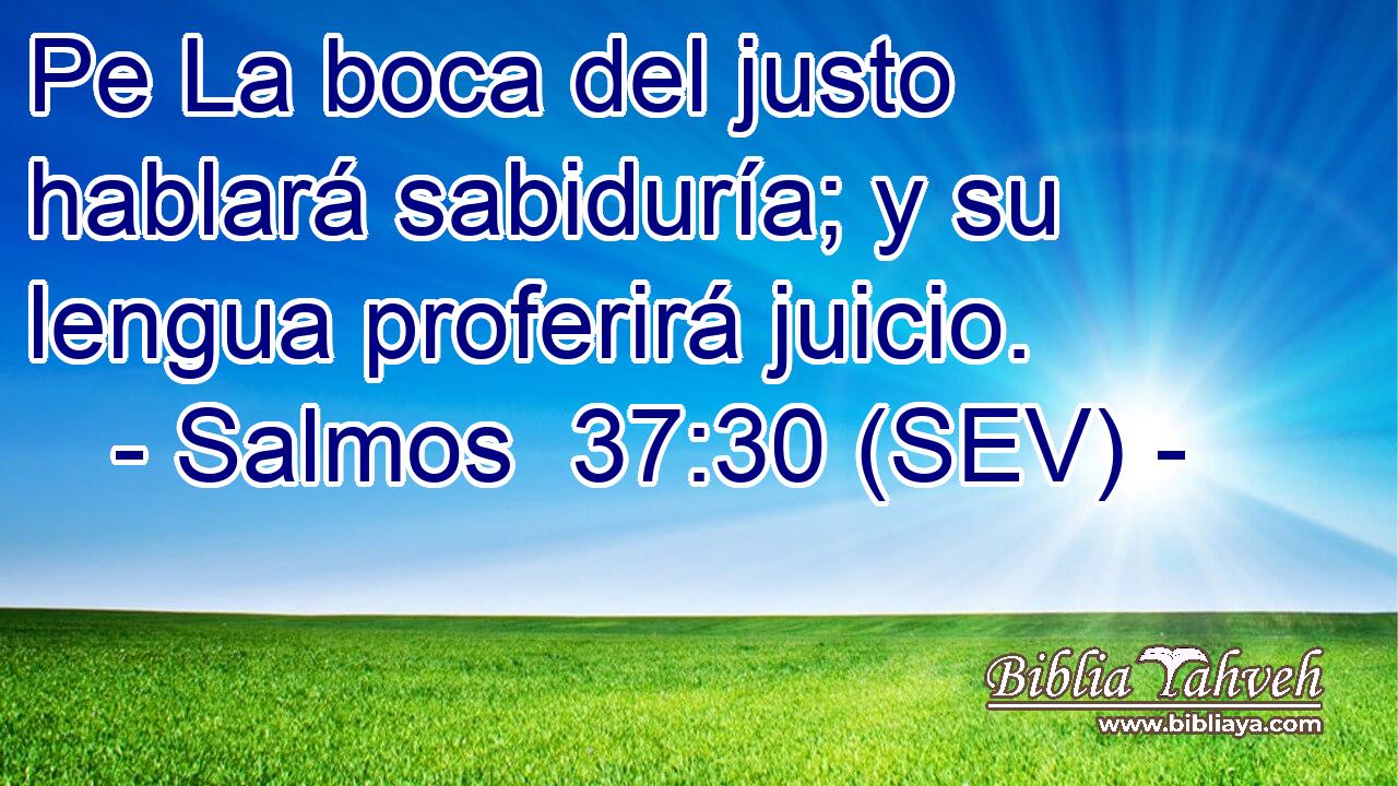 Pe La boca del justo hablará sabiduría; y su lengua proferirá juicio.