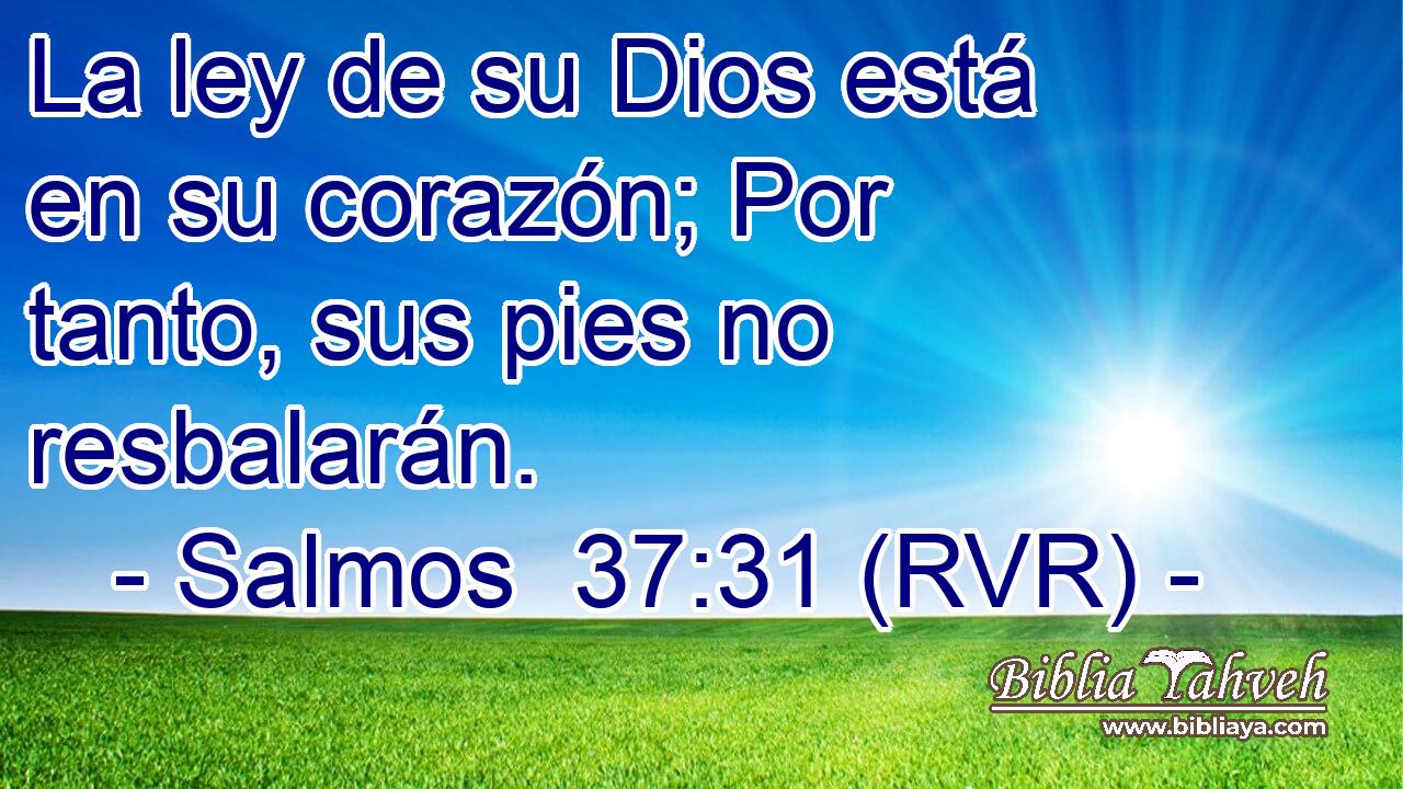 La ley de su Dios está en su corazón; Por tanto, sus pies no resbalarán.