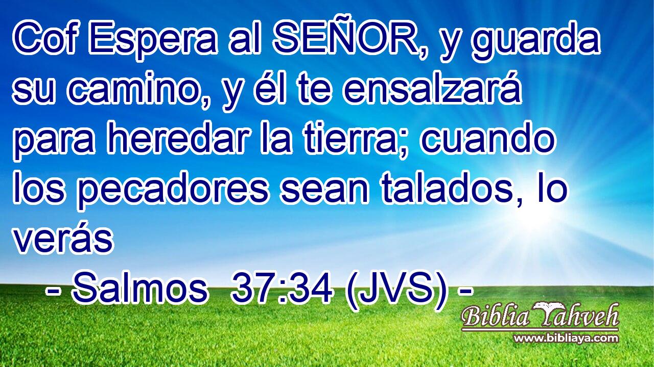 Cof Espera al SEÑOR, y guarda su camino, y él te ensalzará para heredar la tierra; cuando los pecadores sean talados, lo verás