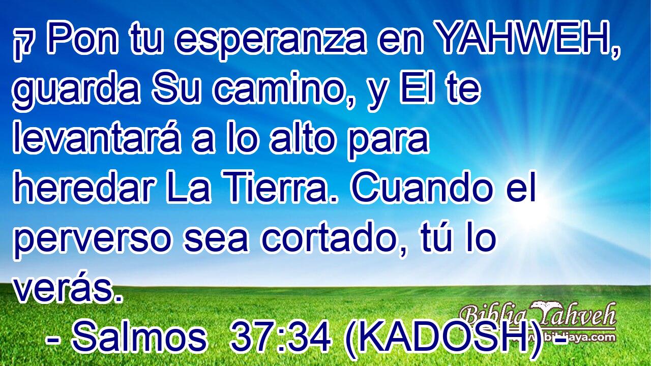  ק Pon tu esperanza en YAHWEH, guarda Su camino, y El te levantará a lo alto para heredar La Tierra. Cuando el perverso sea cortado, tú lo verás. 