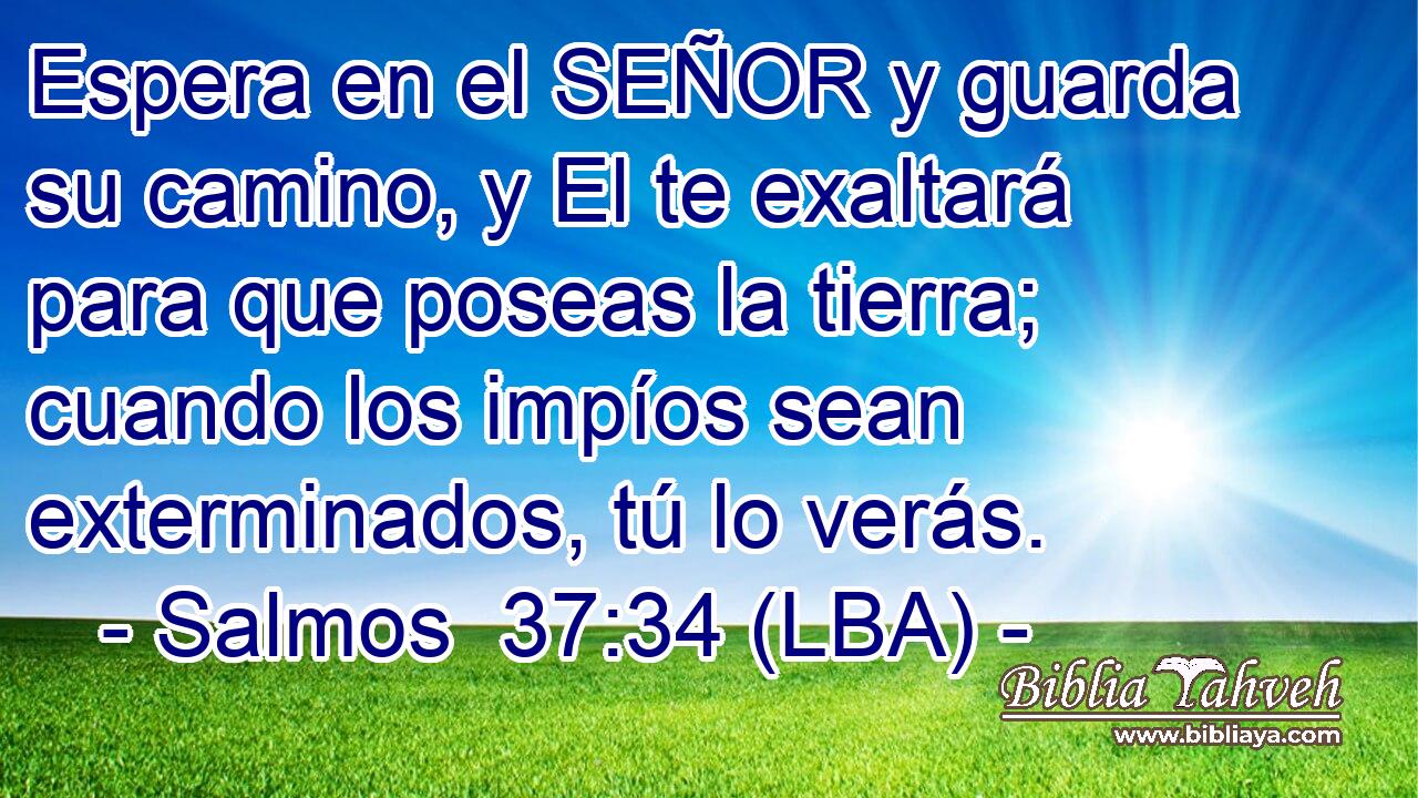 Espera en el SEÑOR y guarda su camino, y El te exaltará para que poseas la tierra; cuando los impíos sean exterminados, tú lo verás.