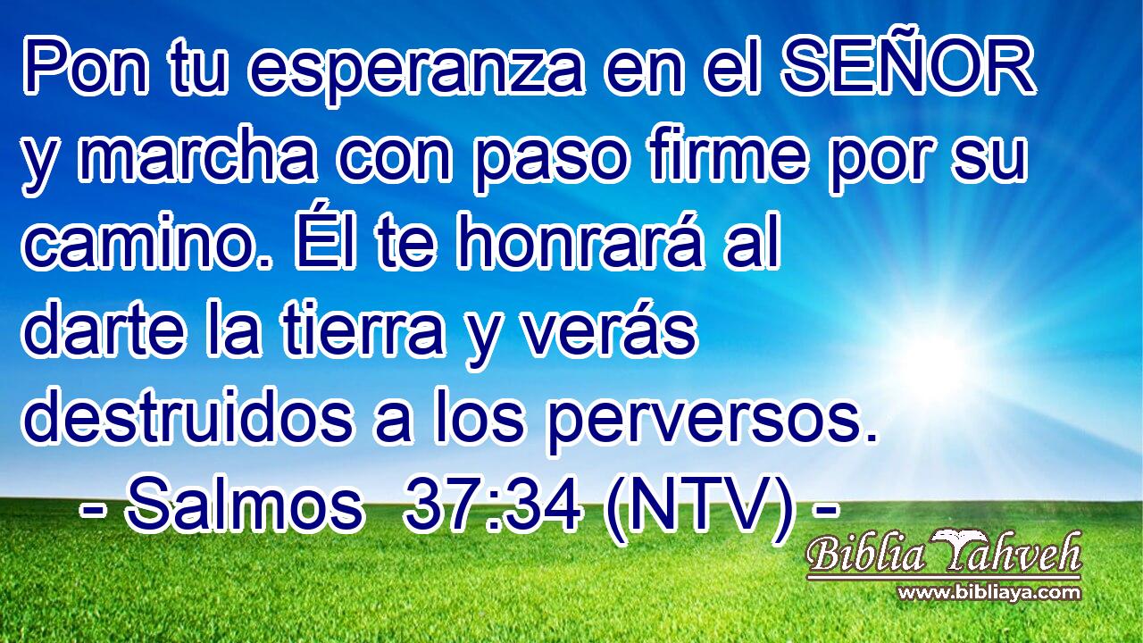 Pon tu esperanza en el SEÑOR y marcha con paso firme por su camino. Él te honrará al darte la tierra y verás destruidos a los perversos.