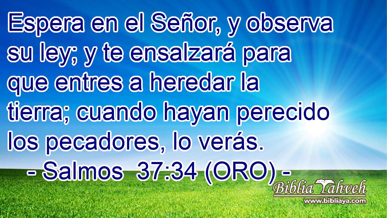  Espera en el Señor, y observa su ley; y te ensalzará para que entres a heredar la tierra; cuando hayan perecido los pecadores, lo verás. 