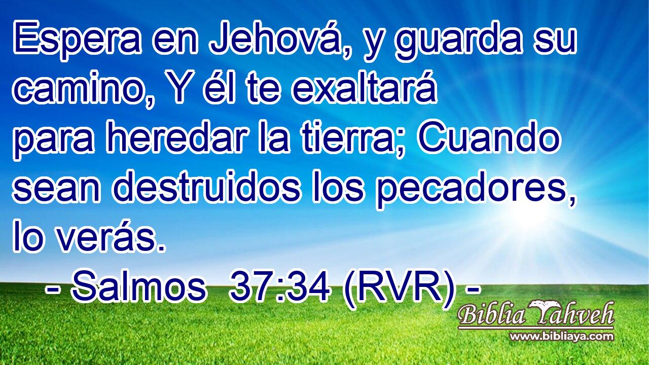 Espera en Jehová, y guarda su camino, Y él te exaltará para heredar la tierra; Cuando sean destruidos los pecadores, lo verás.