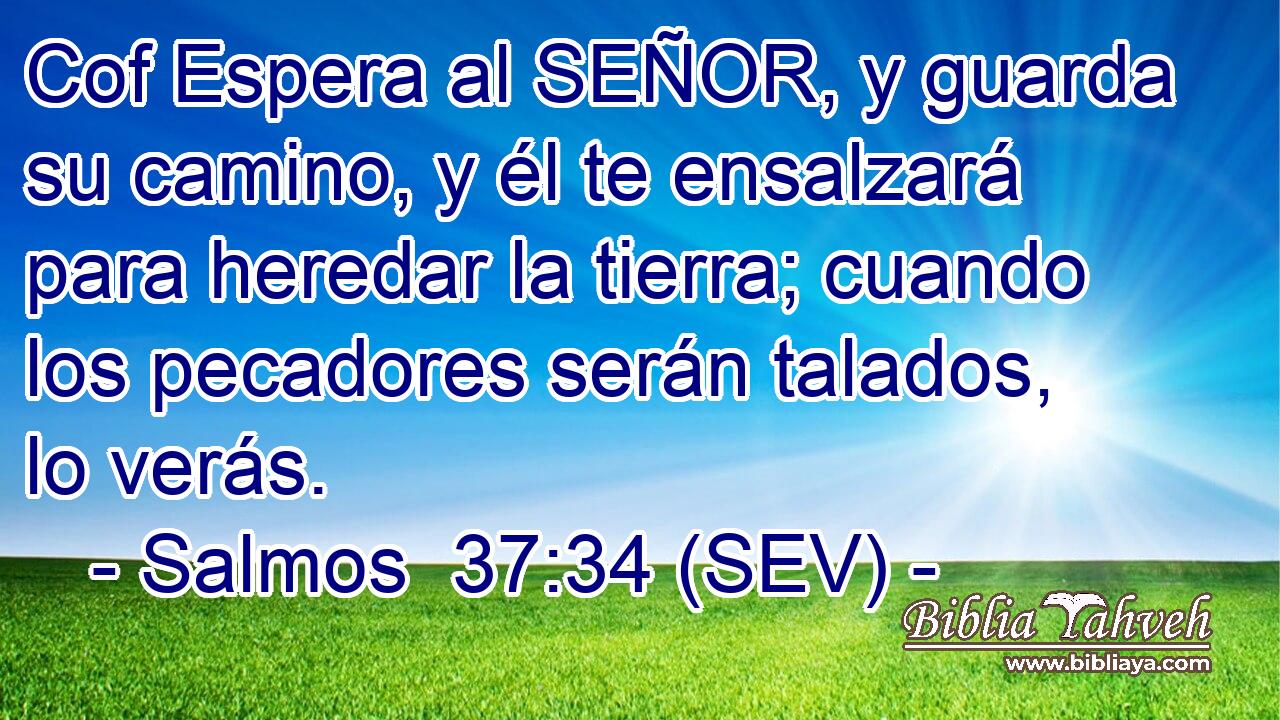 Cof Espera al SEÑOR, y guarda su camino, y él te ensalzará para heredar la tierra; cuando los pecadores serán talados, lo verás.