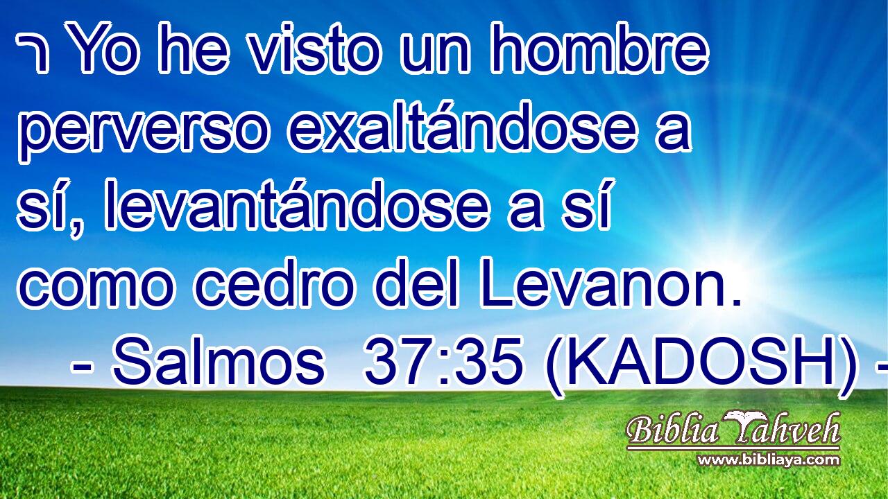  ר Yo he visto un hombre perverso exaltándose a sí, levantándose a sí como cedro del Levanon. 
