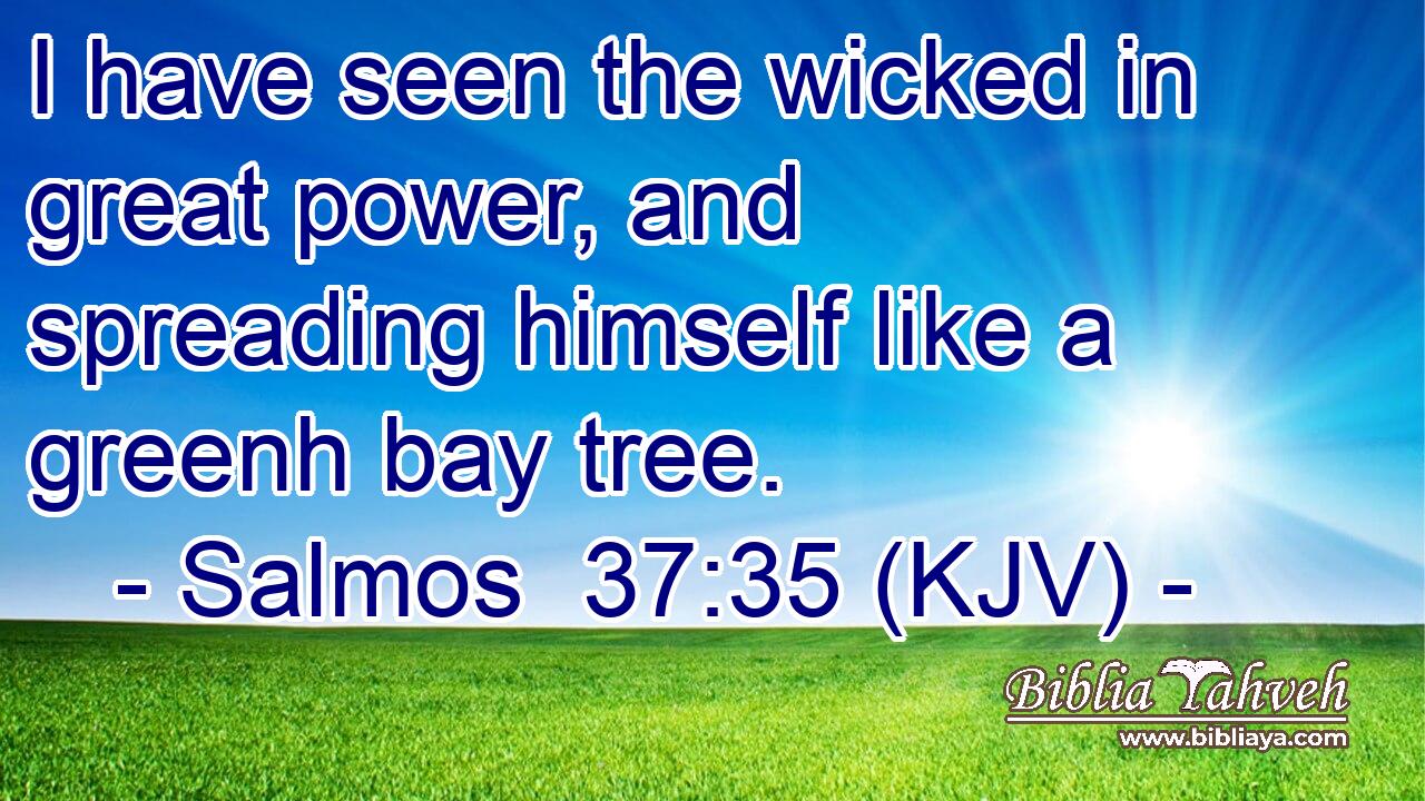 I have seen the wicked in great power, and spreading himself like a greenh bay tree.