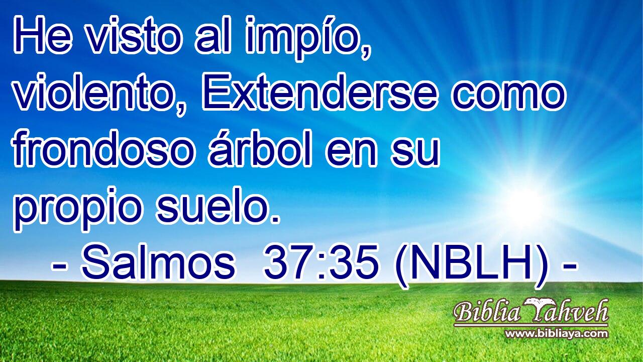  He visto al impío, violento, Extenderse como frondoso árbol en su propio suelo. 