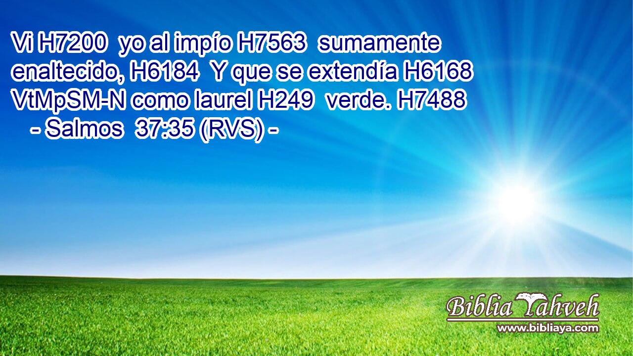 Vi H7200  yo al impío H7563  sumamente enaltecido, H6184  Y que se extendía H6168 VtMpSM-N como laurel H249  verde. H7488  