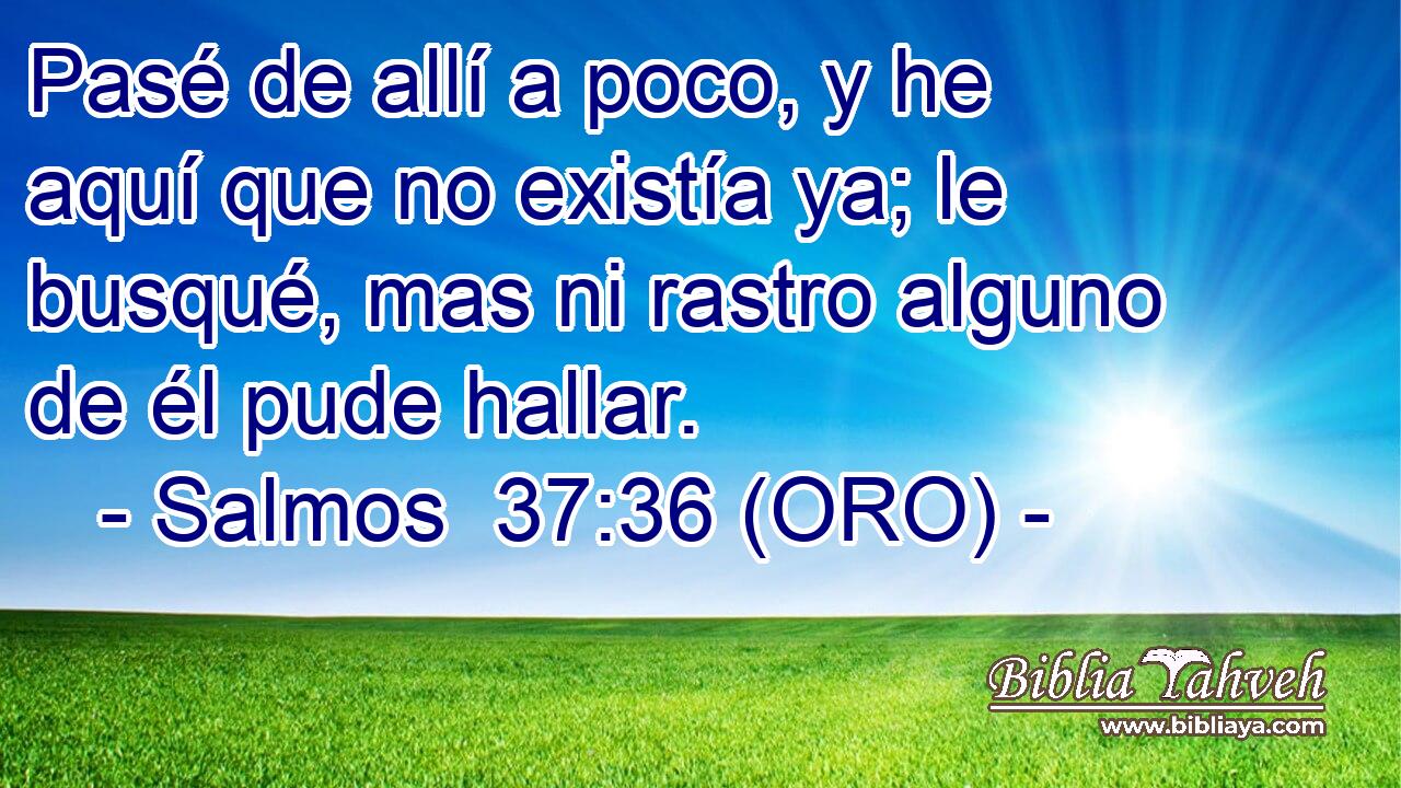  Pasé de allí a poco, y he aquí que no existía ya; le busqué, mas ni rastro alguno de él pude hallar. 